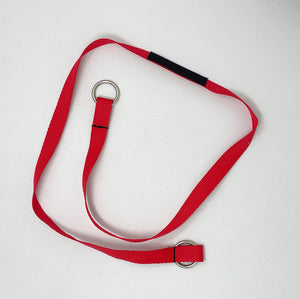 #2009A ROM Strap
